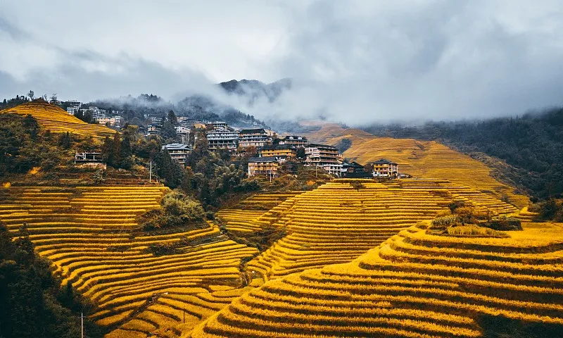 龙脊梯田